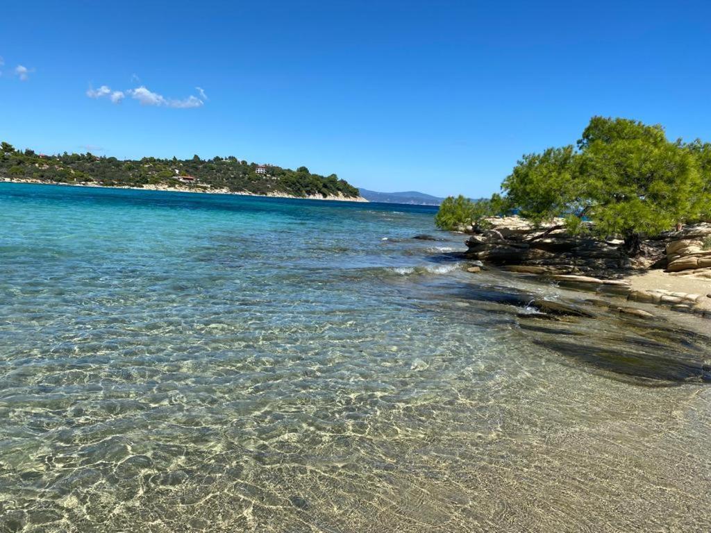 Lili Houses In Nikiti 350M From The Beach Εξωτερικό φωτογραφία