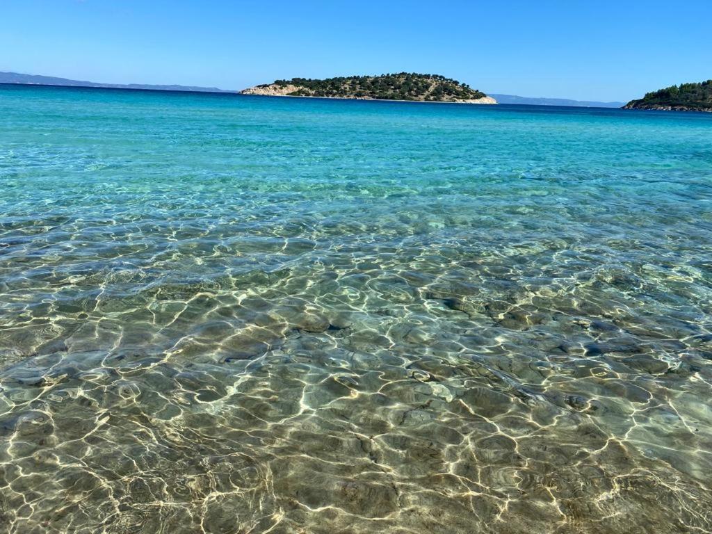 Lili Houses In Nikiti 350M From The Beach Εξωτερικό φωτογραφία