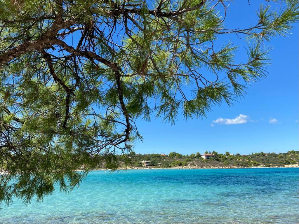 Lili Houses In Nikiti 350M From The Beach Εξωτερικό φωτογραφία